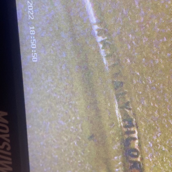 Milor 14k Tiger Eye Earrings - Picture 5 of 8